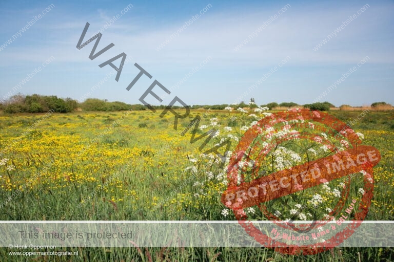 De Olde Maten - Staphorst